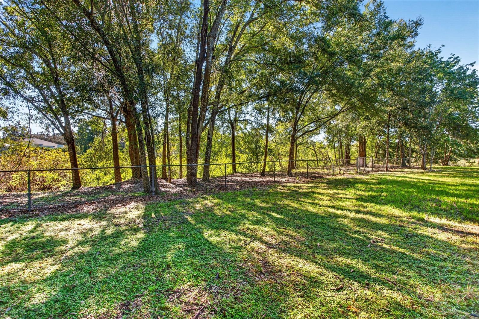 10326 OSCEOLA DRIVE, New Port Richey, FL 34654