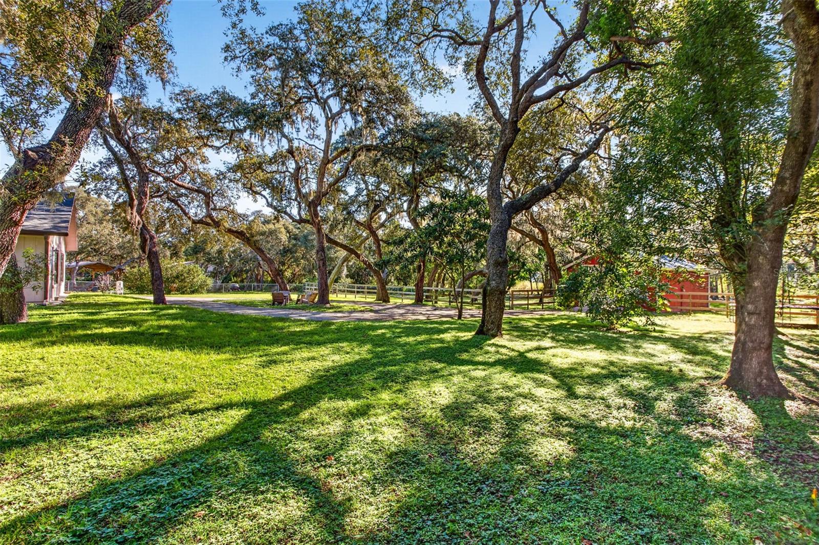 10326 OSCEOLA DRIVE, New Port Richey, FL 34654