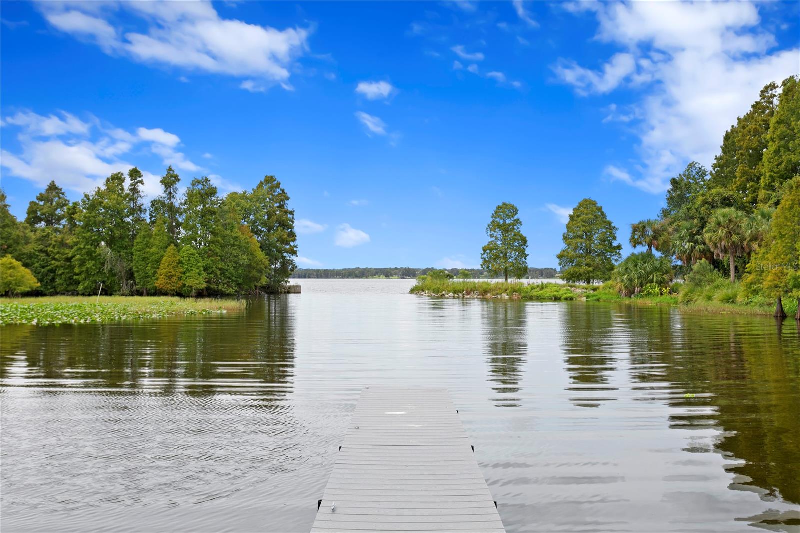 10648 BROADLAND PASS, Thonotosassa, FL 33592