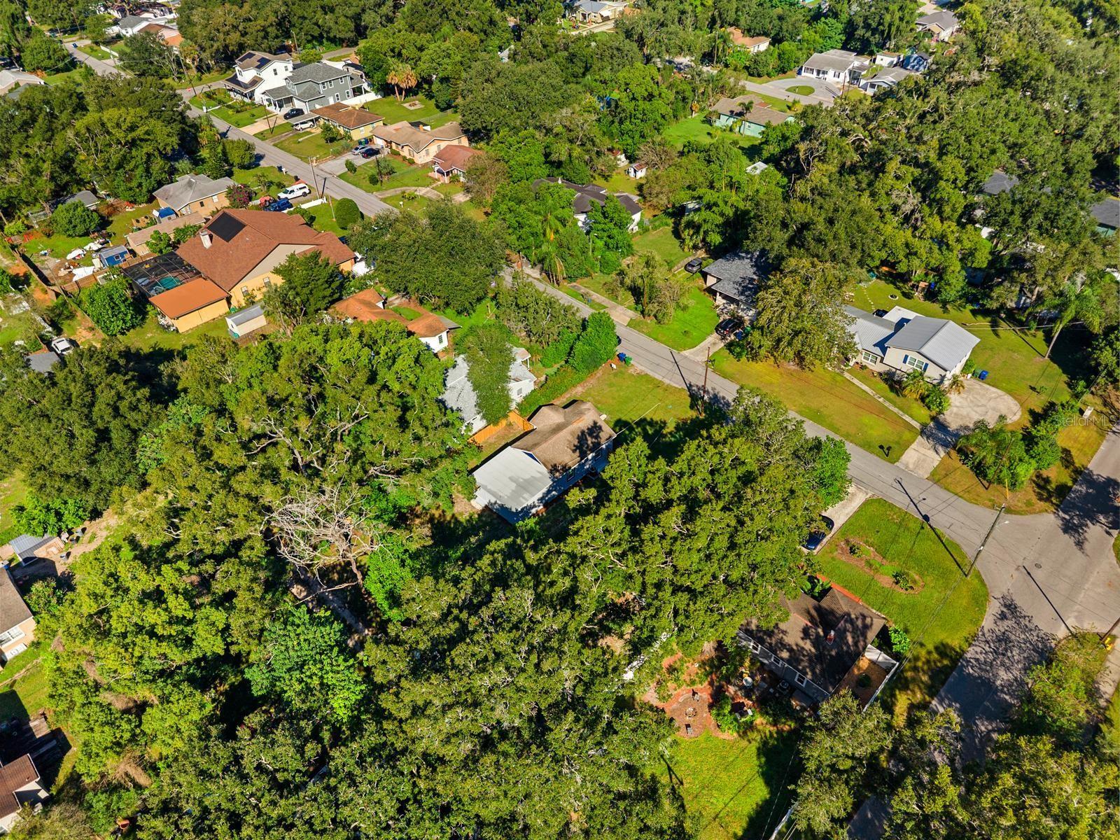 1319 E NORFOLK STREET, Tampa, FL 33604