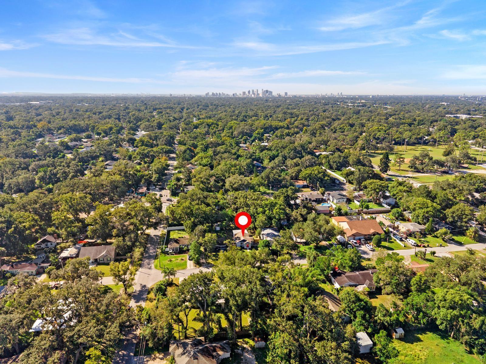 1319 E NORFOLK STREET, Tampa, FL 33604