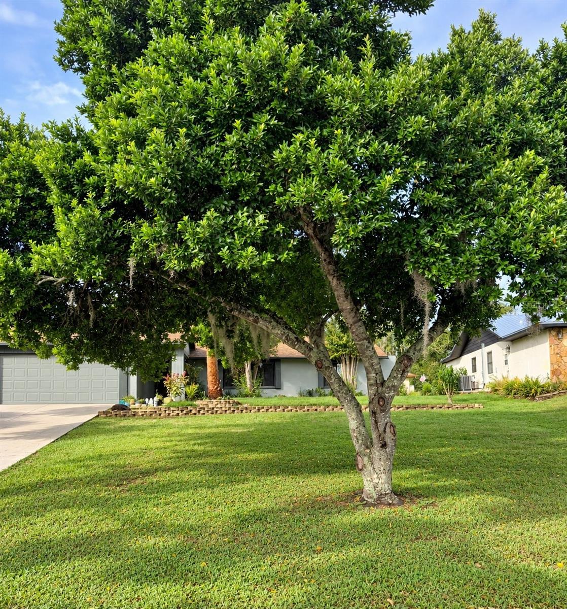 8664 HEATHER BOULEVARD, Weeki Wachee, FL 34613