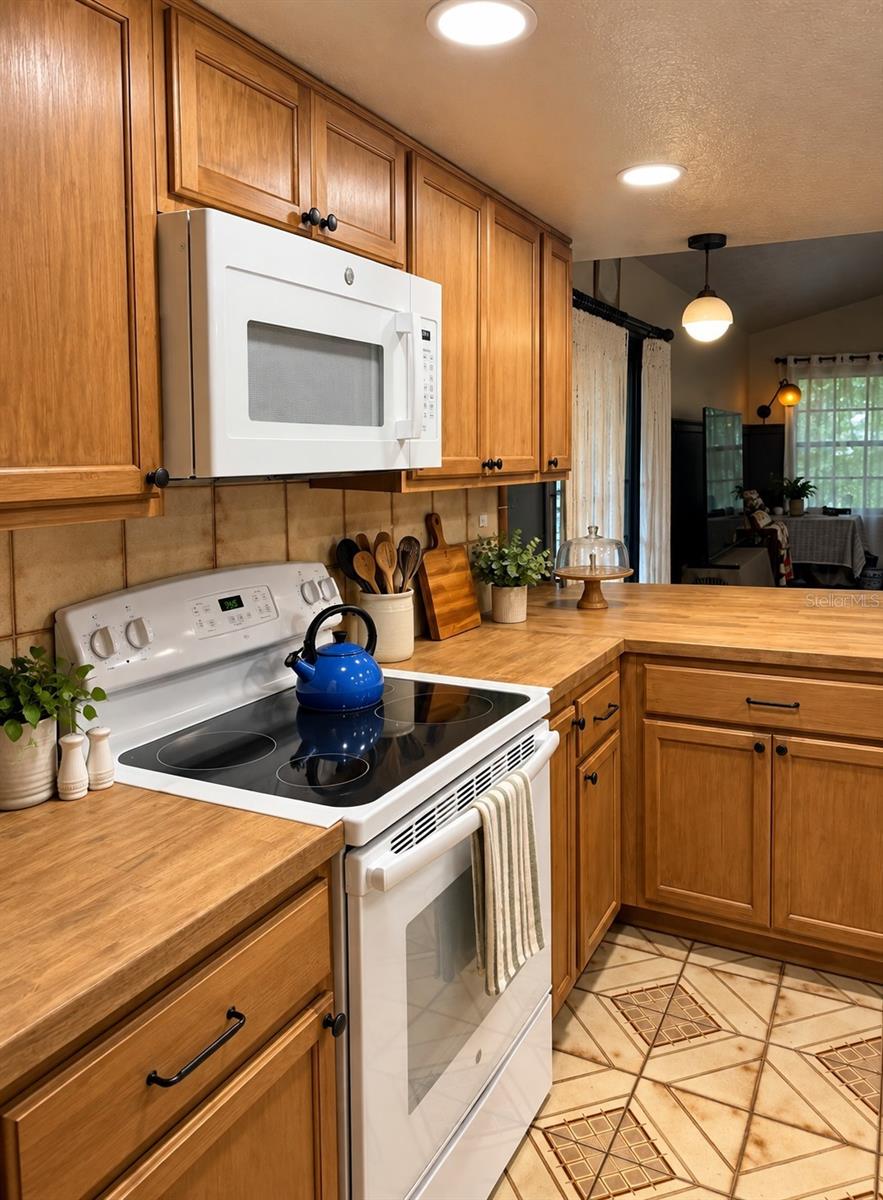 8664 HEATHER BOULEVARD, Weeki Wachee, FL 34613