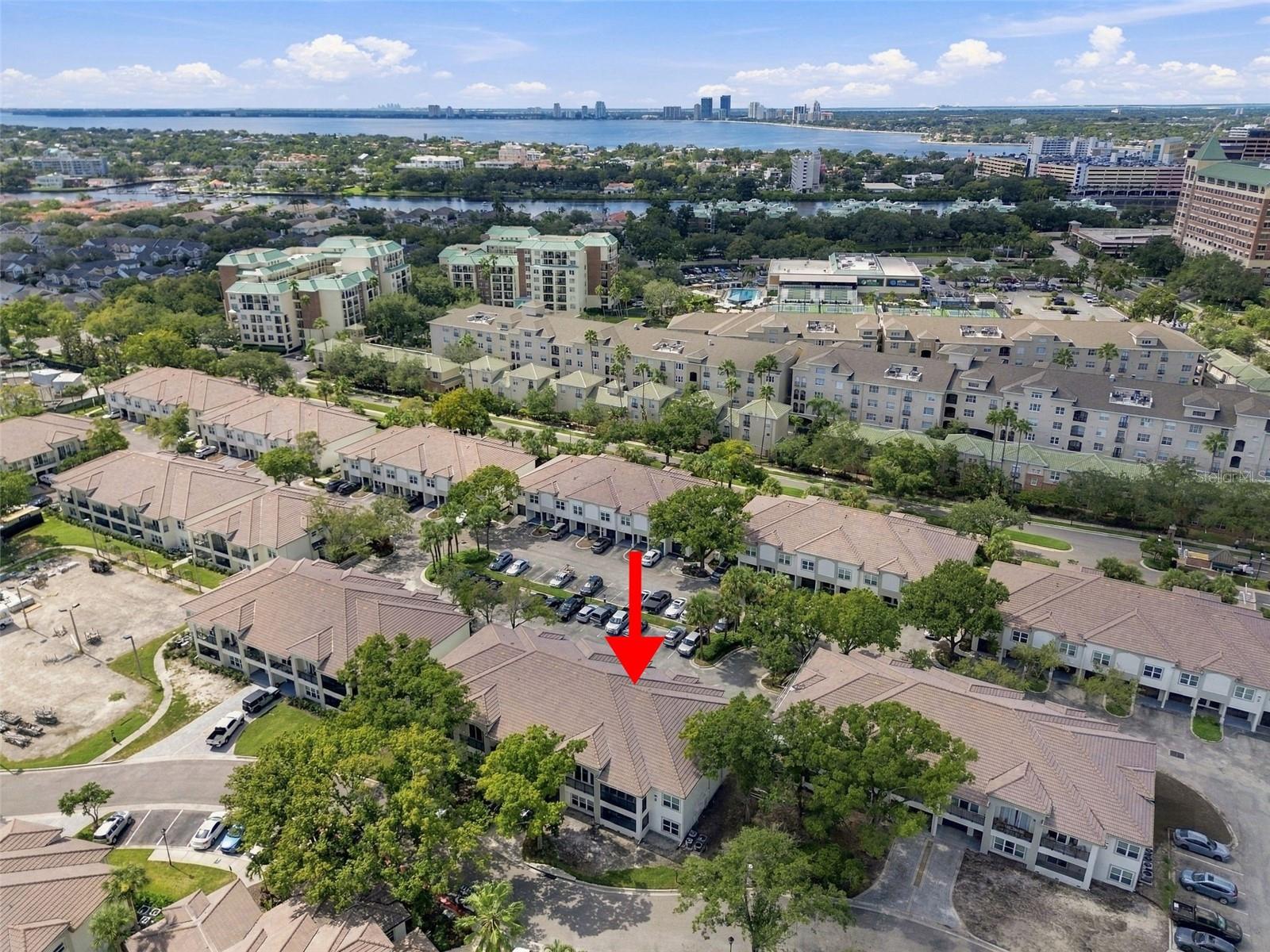 816 NORMANDY TRACE ROAD, Tampa, FL 33602