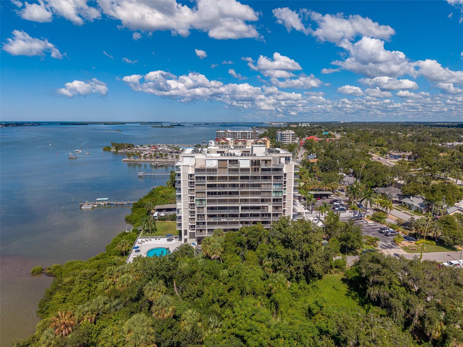 500 N OSCEOLA AVENUE, #609, Clearwater, FL 33755