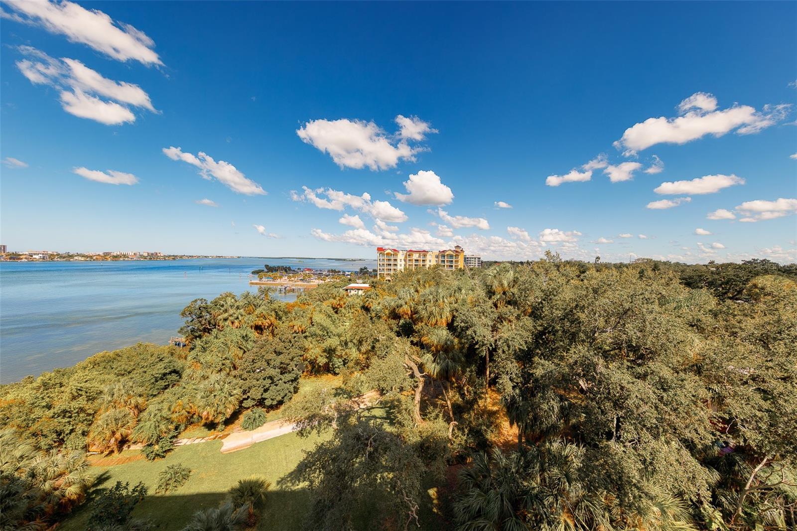 500 N OSCEOLA AVENUE, #609, Clearwater, FL 33755