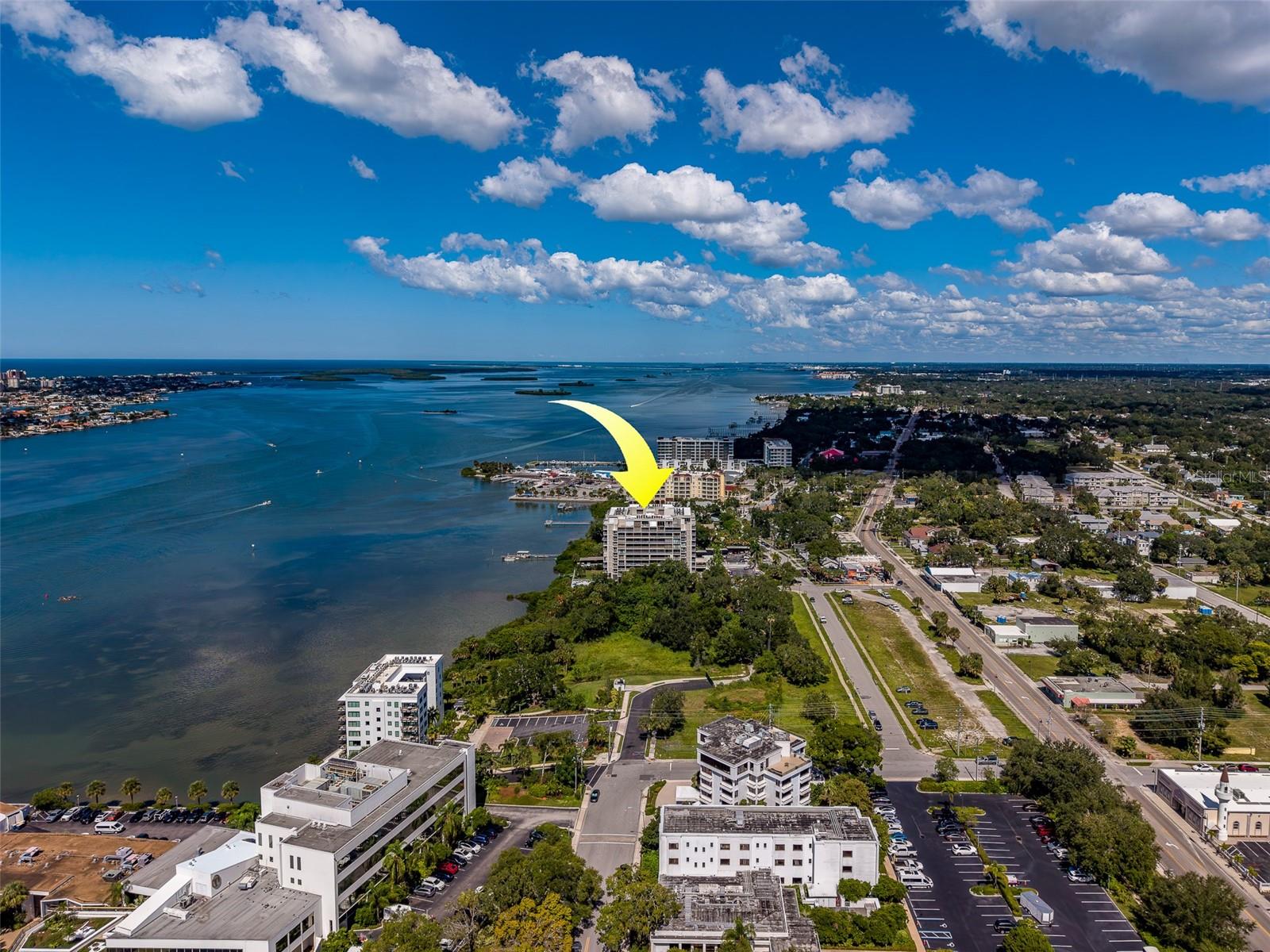 500 N OSCEOLA AVENUE, #609, Clearwater, FL 33755