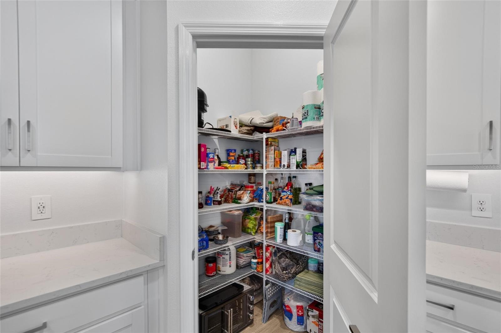 17127 HOLLY WELL AVENUE, Wimauma, FL 33598