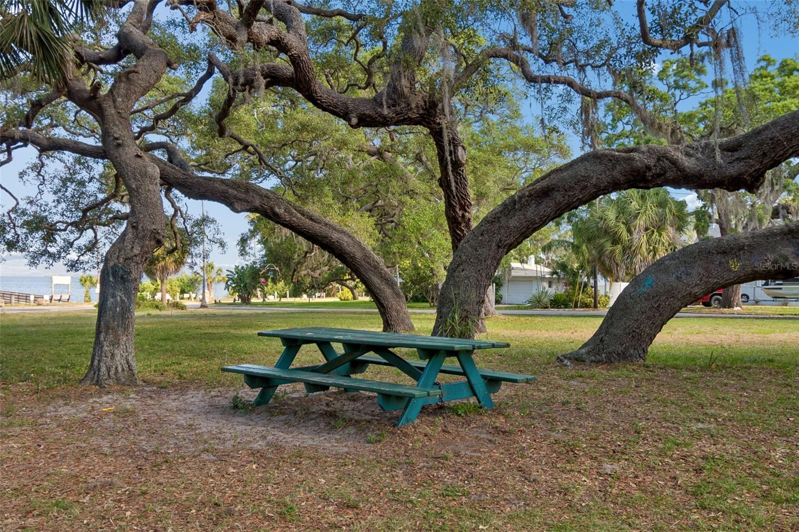 395 GEORGIA AVENUE, Crystal Beach, FL 34681