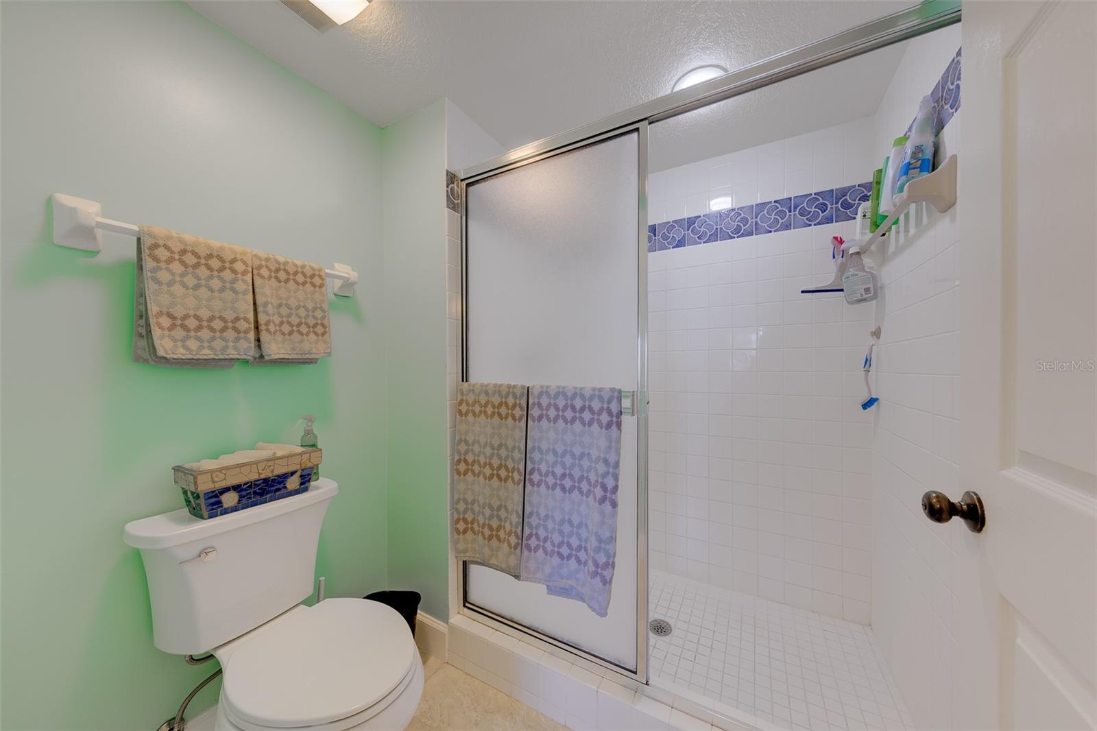 Master Shower
