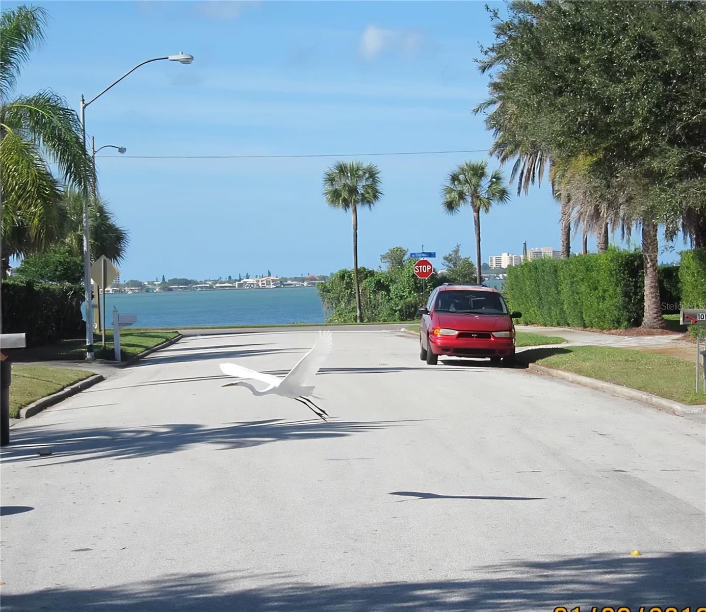 1145 CHARLES STREET, Clearwater, FL 33755 1145 CHARLES STREET, Clearwater, FL 33755