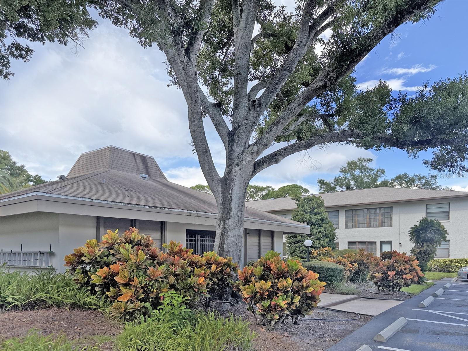 Clubhouse / Pool