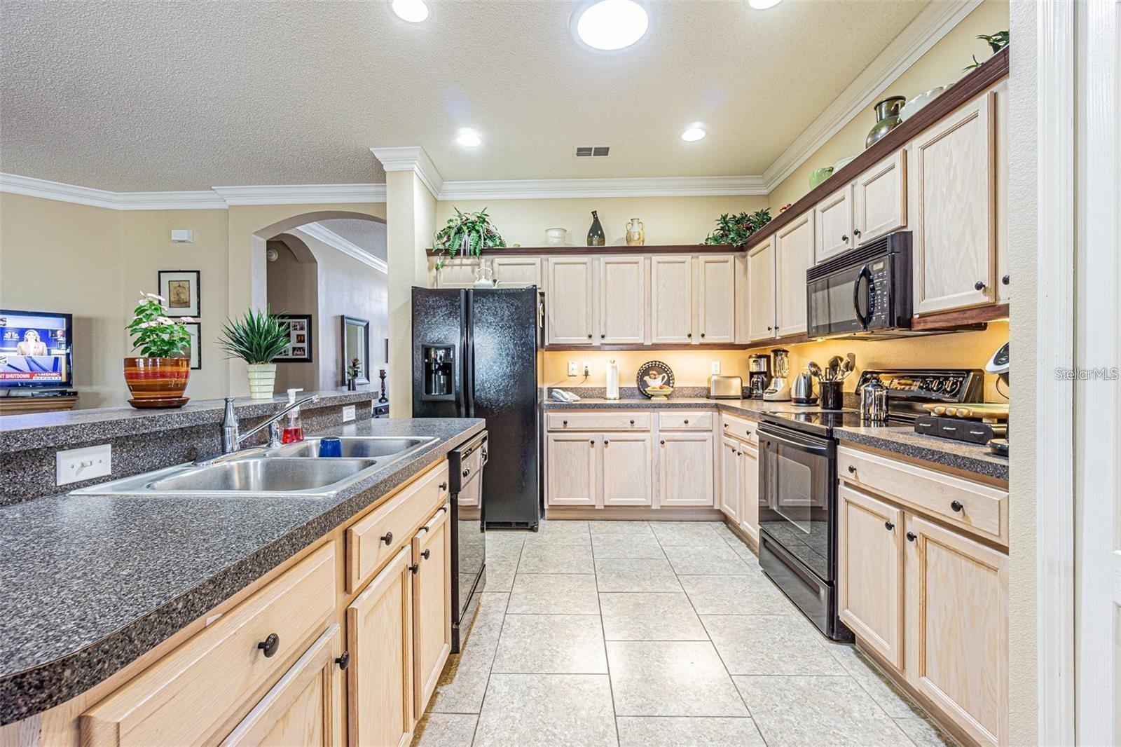 2514 SANDY HILL COURT, Holiday, FL 34691