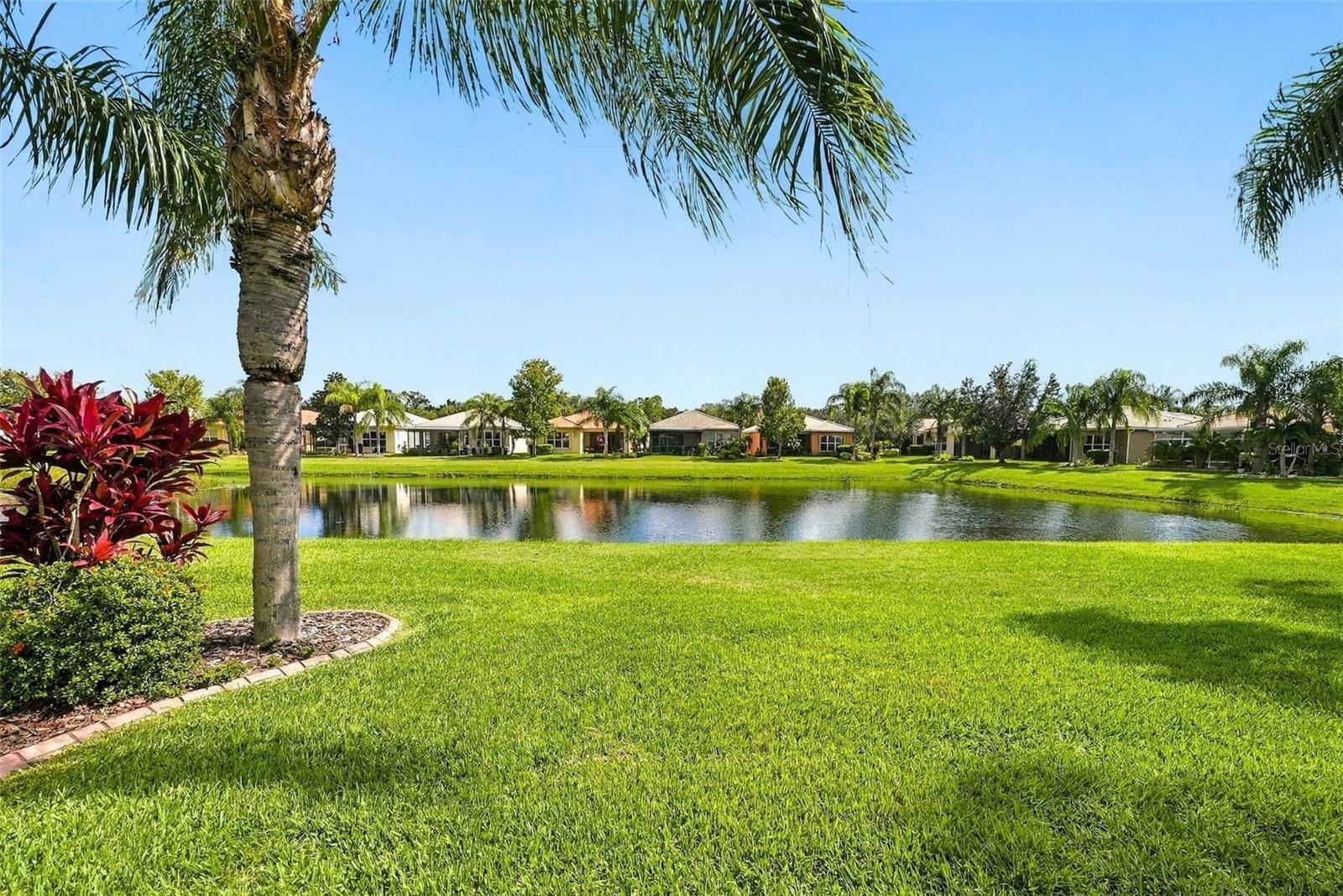 15917 COBBLE MILL DRIVE, Wimauma, FL 33598