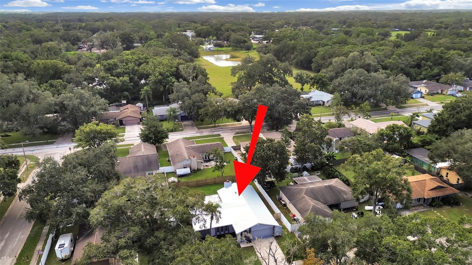 17531 BRANDYWINE DRIVE, Lutz, FL 33549