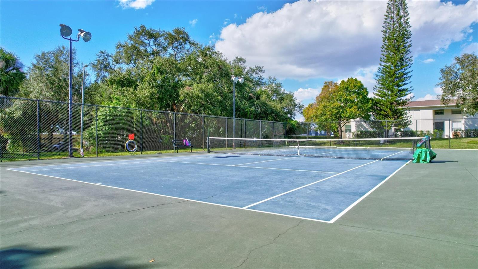 4515 LA CAPRI COURT, Tampa, FL 33611