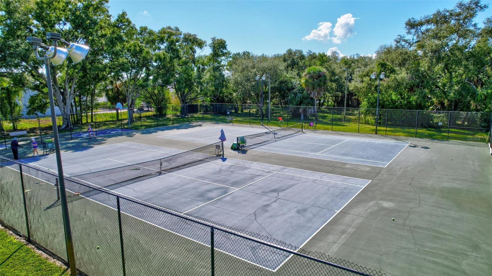 4515 LA CAPRI COURT, Tampa, FL 33611