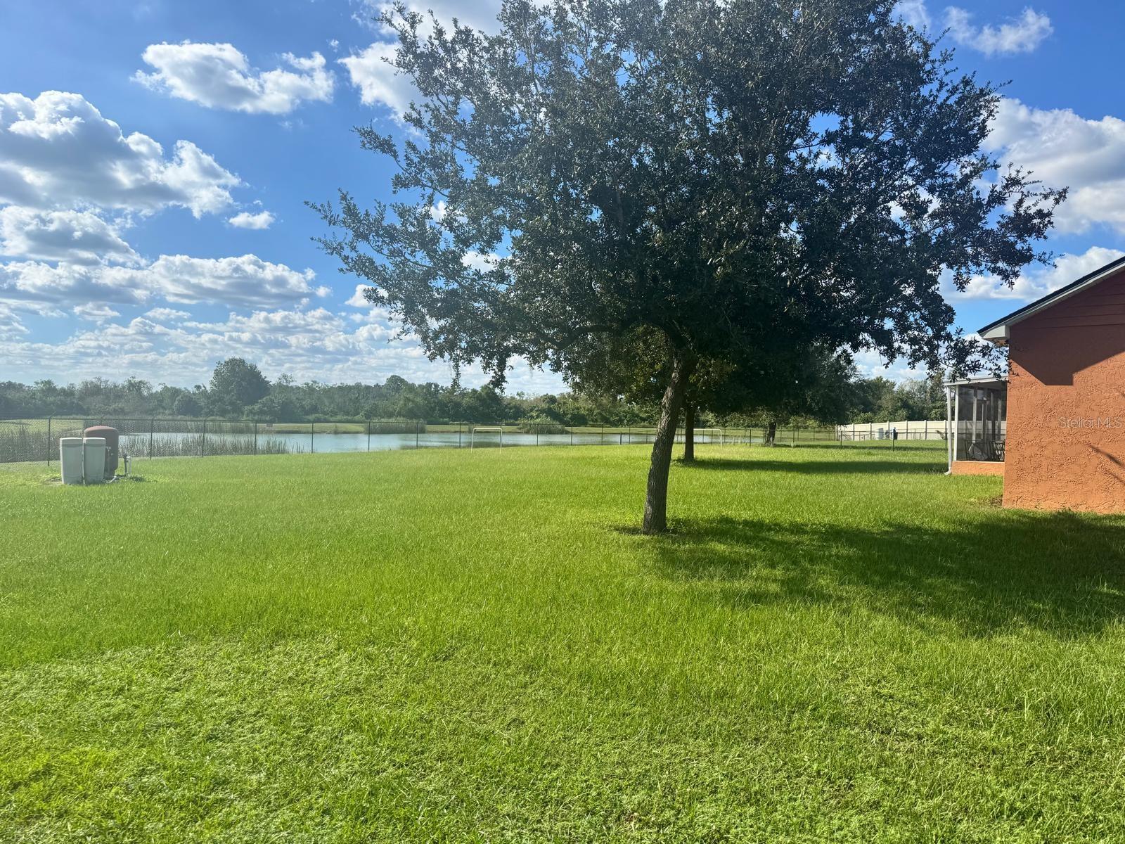 Back yard Back yard