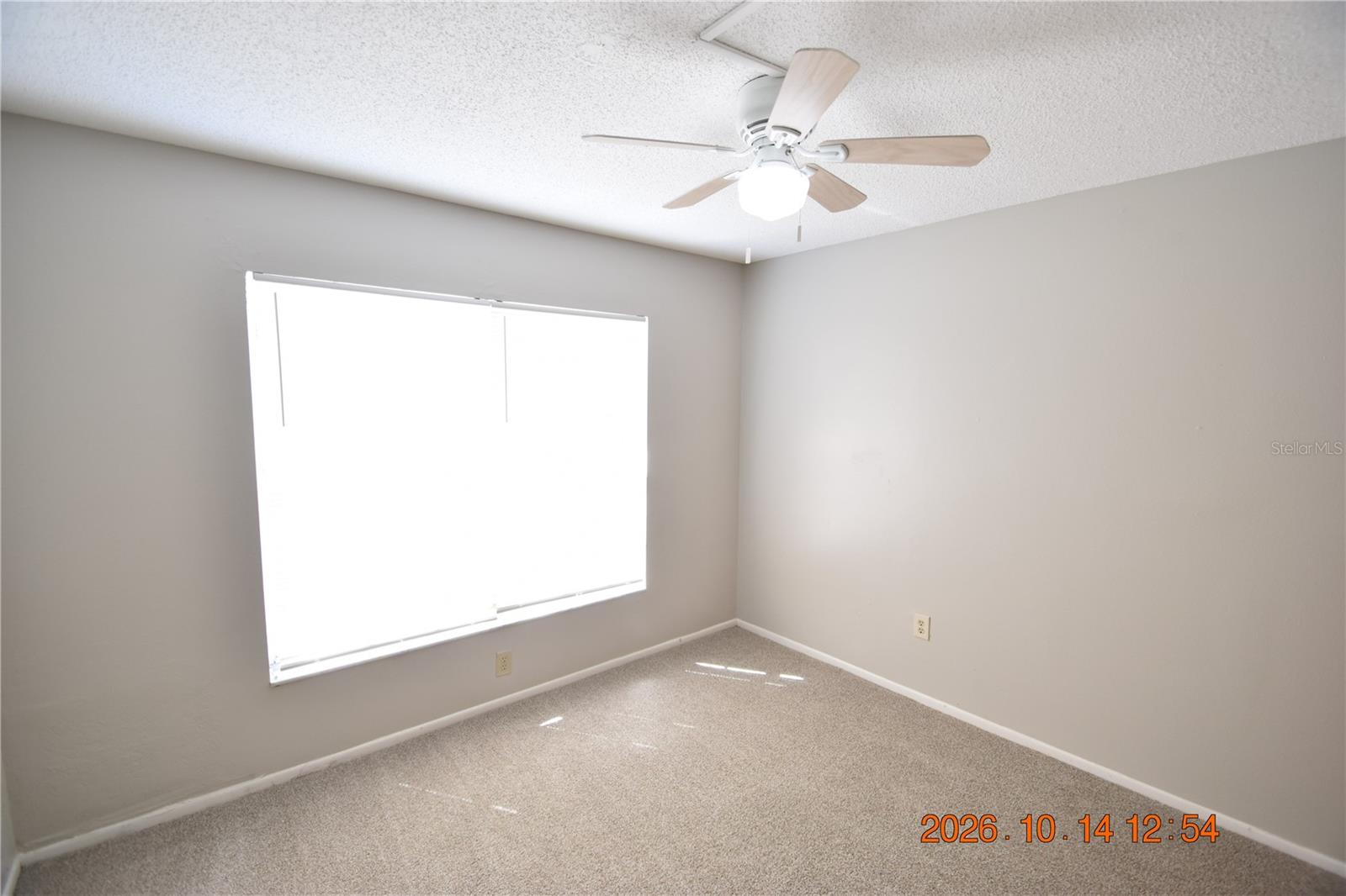 1705 PAINT BRANCH WAY, #1705, Brandon, FL 33511