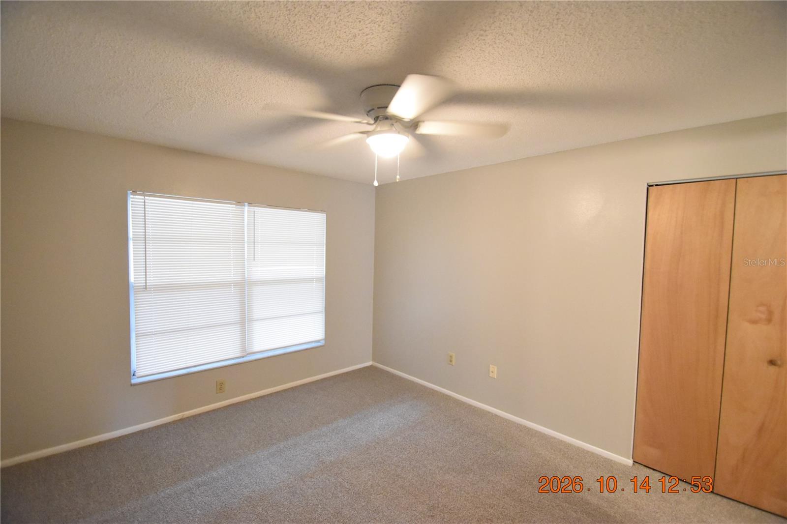 1705 PAINT BRANCH WAY, #1705, Brandon, FL 33511