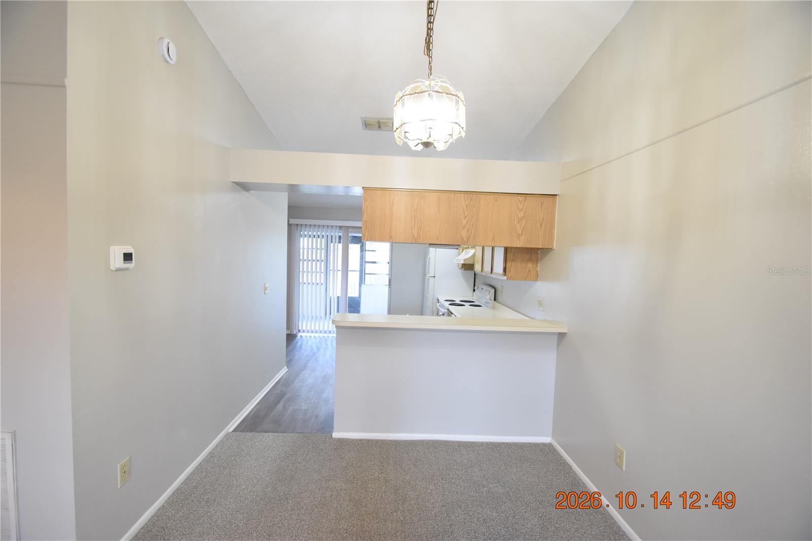 1705 PAINT BRANCH WAY, #1705, Brandon, FL 33511