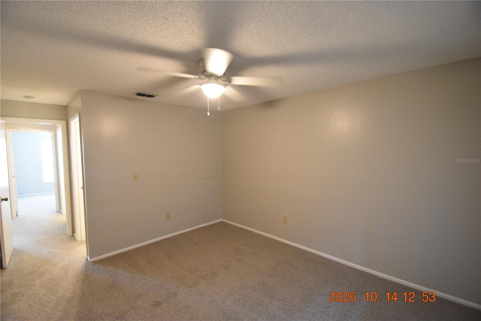 1705 PAINT BRANCH WAY, #1705, Brandon, FL 33511