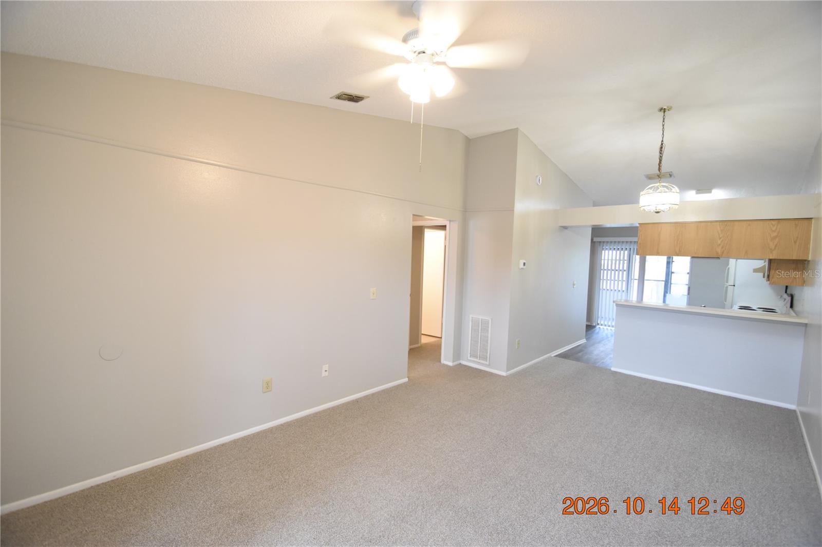 1705 PAINT BRANCH WAY, #1705, Brandon, FL 33511