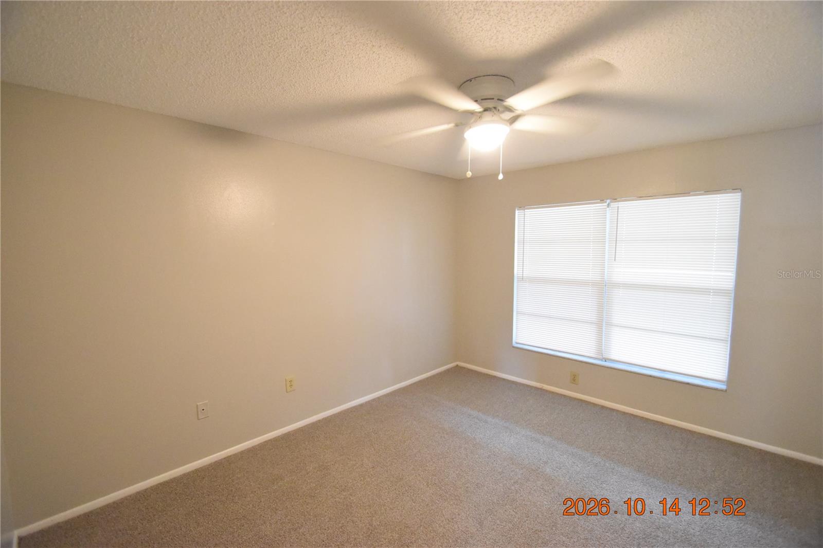 1705 PAINT BRANCH WAY, #1705, Brandon, FL 33511