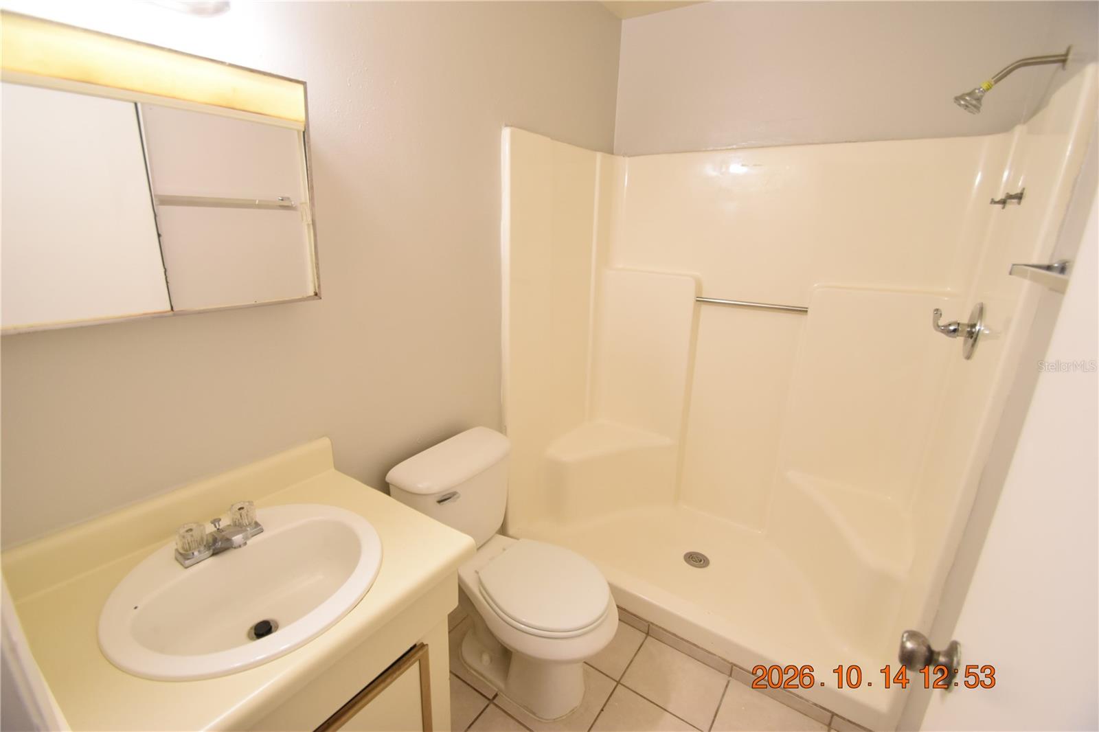 1705 PAINT BRANCH WAY, #1705, Brandon, FL 33511