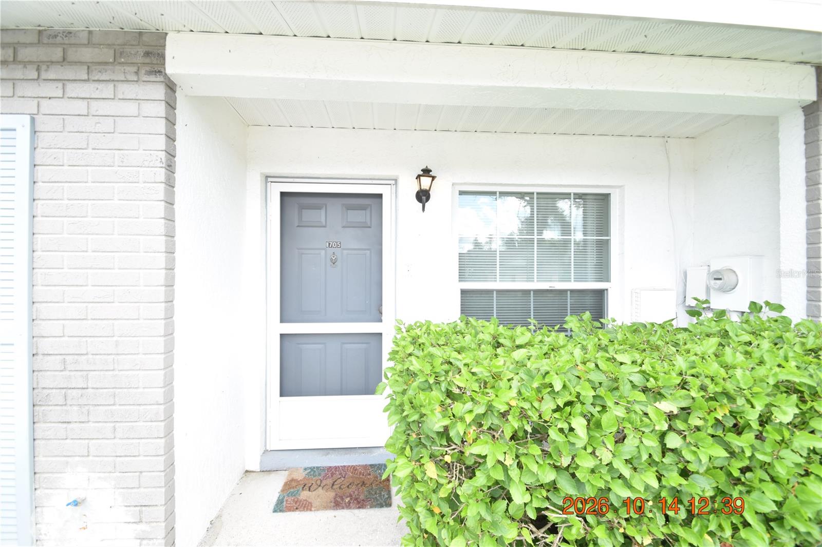1705 PAINT BRANCH WAY, #1705, Brandon, FL 33511