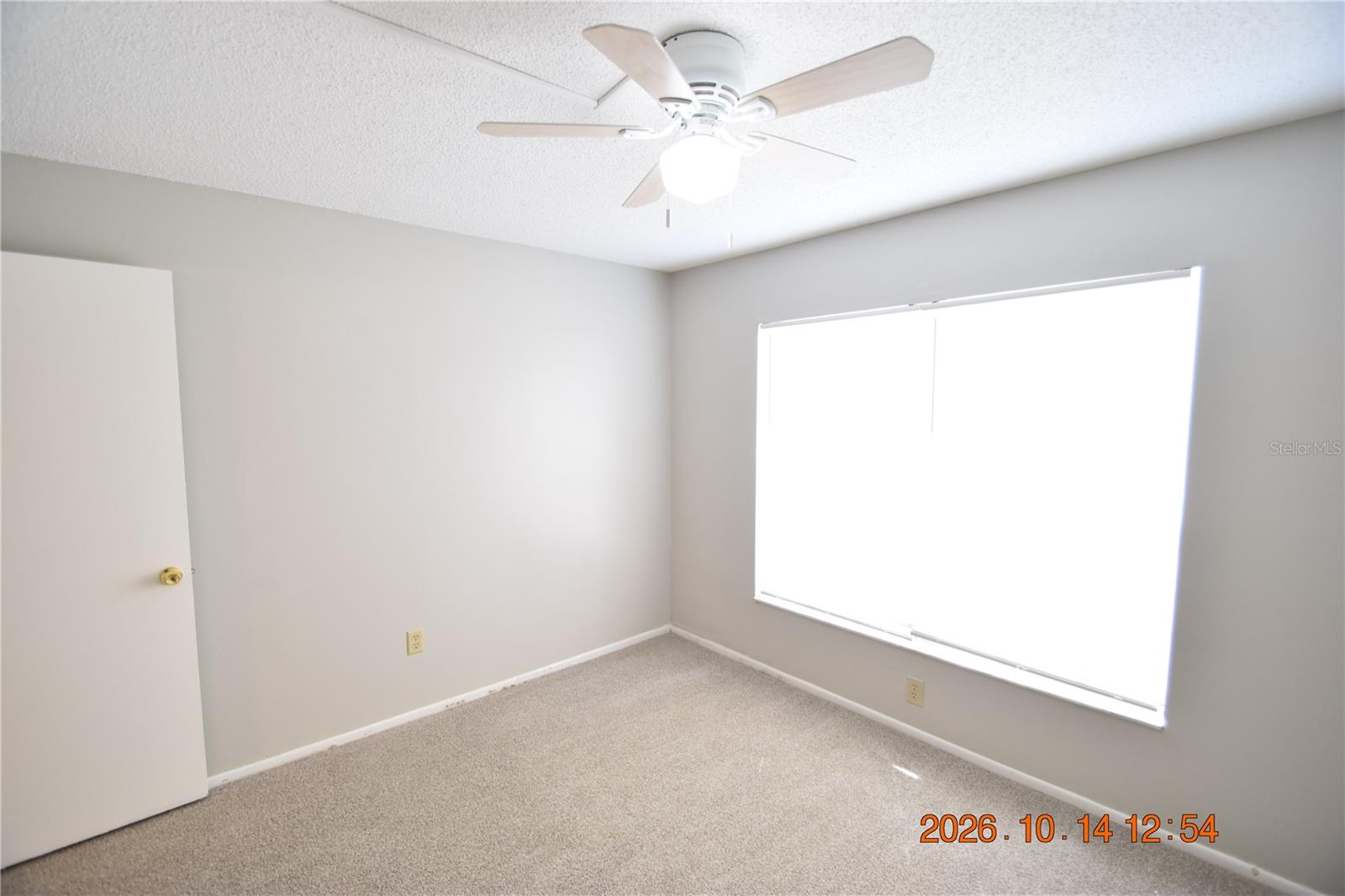 1705 PAINT BRANCH WAY, #1705, Brandon, FL 33511