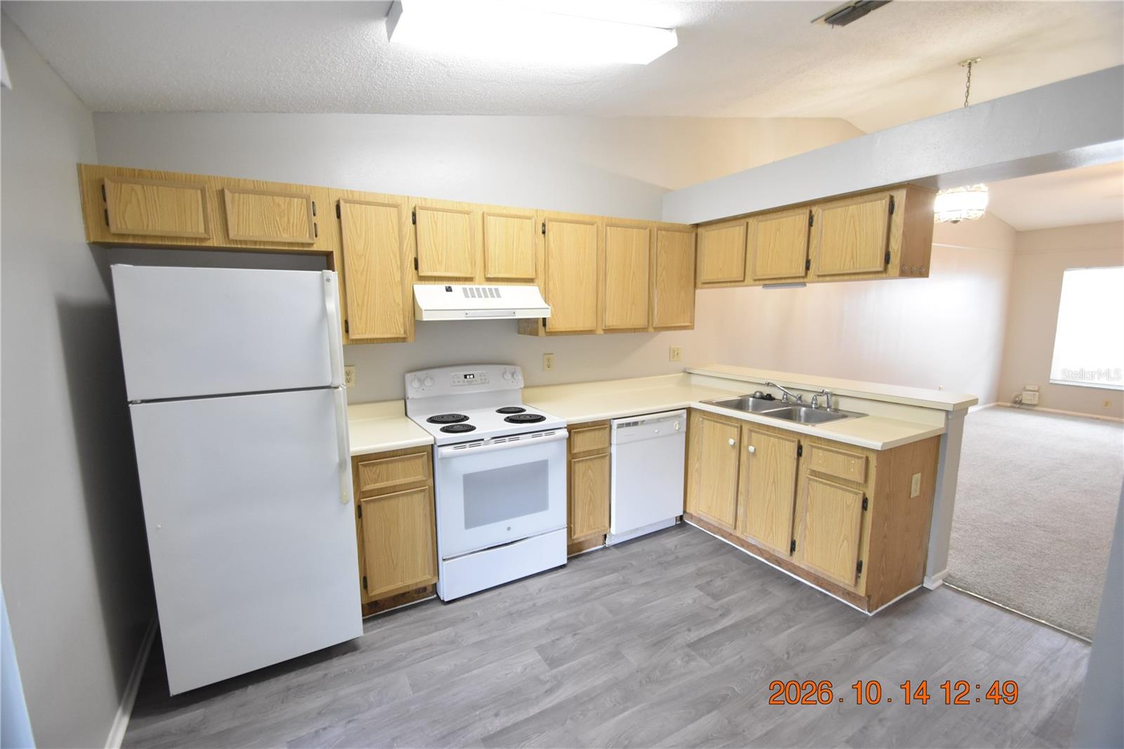 1705 PAINT BRANCH WAY, #1705, Brandon, FL 33511