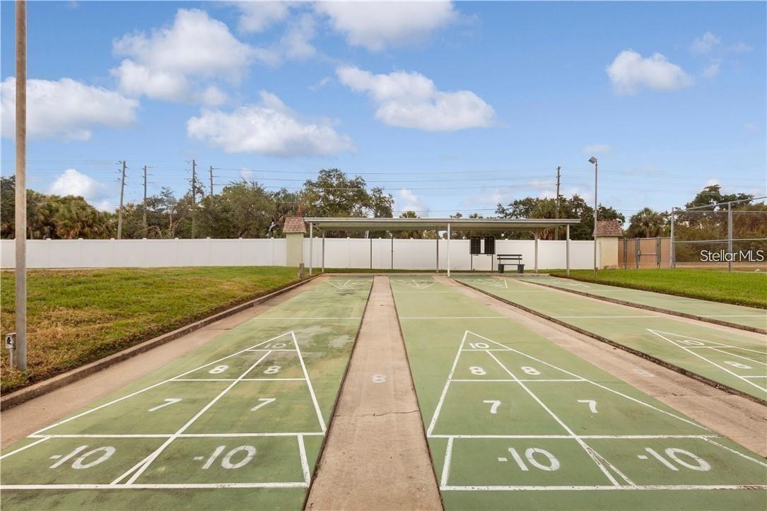 Shuffleboard Court