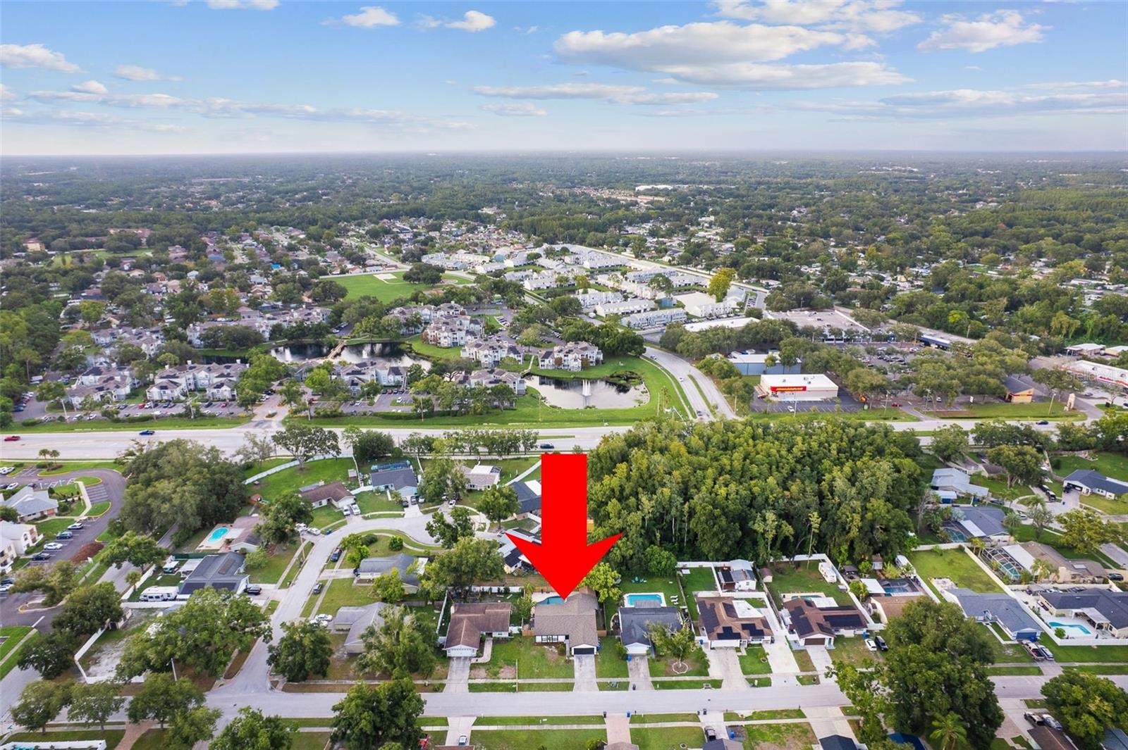 5308 BLACK PINE DRIVE, Tampa, FL 33624