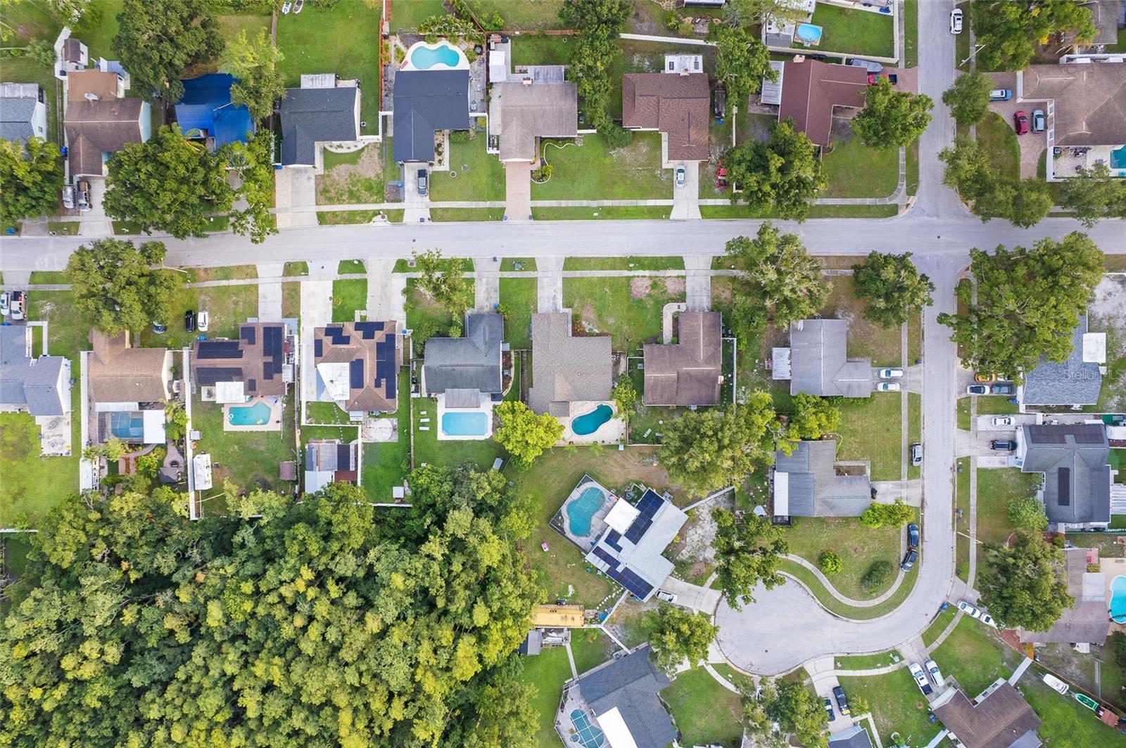 5308 BLACK PINE DRIVE, Tampa, FL 33624