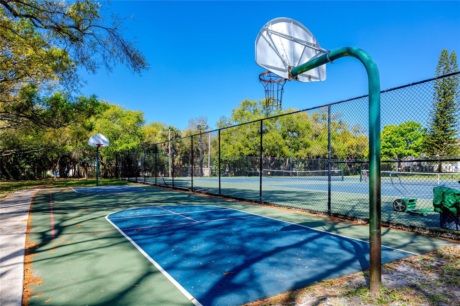 Basketball anyone?