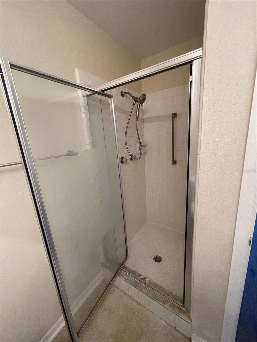 Primary walk-in shower