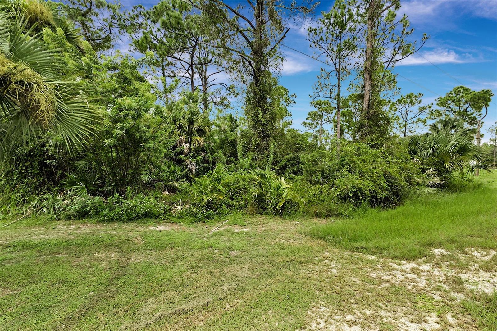 2011 WELLS AVENUE, Alva, FL 33920