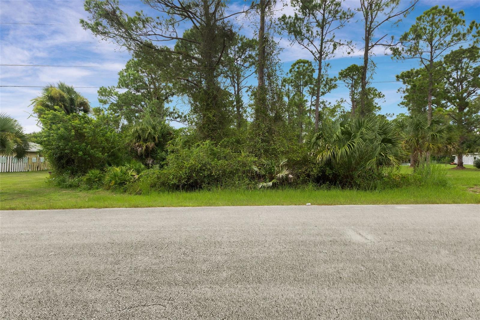 2011 WELLS AVENUE, Alva, FL 33920