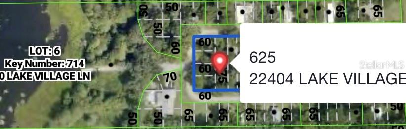 22404 LAKE VILLAGE LANE, Brooksville, FL 34601