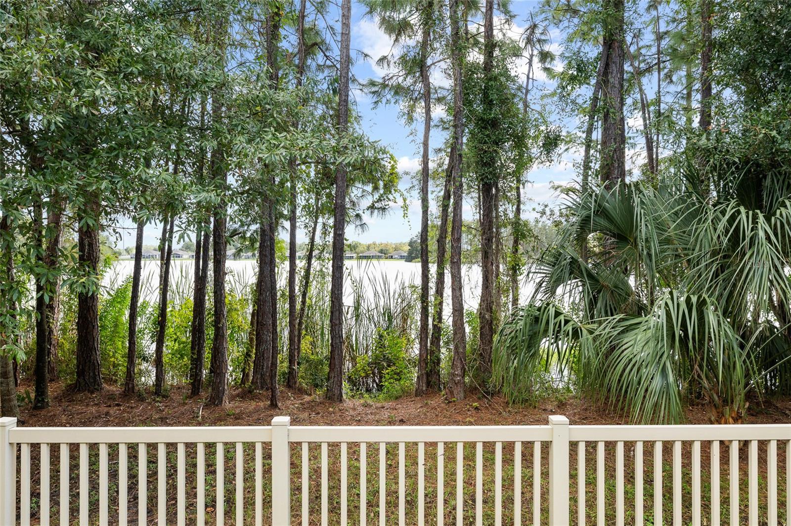 11424 CROWNED SPARROW LANE, Tampa, FL 33626