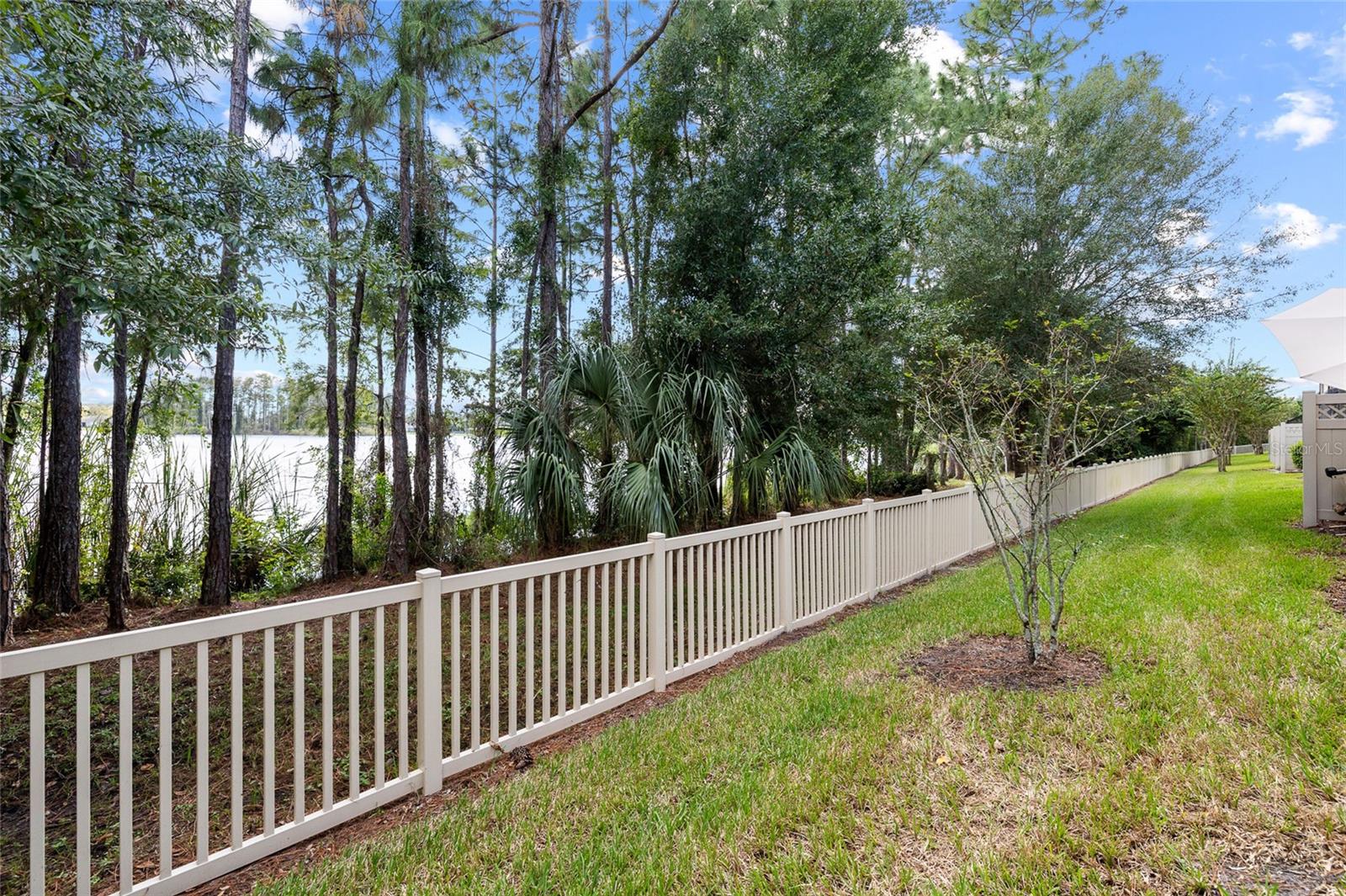 11424 CROWNED SPARROW LANE, Tampa, FL 33626