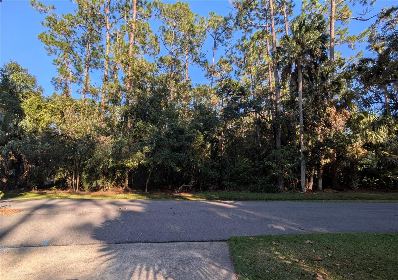 366 OLD MILL ROAD, Enterprise, FL 32725