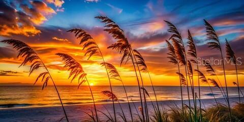14500 N BAYSHORE DRIVE, Madeira Beach, FL 33708