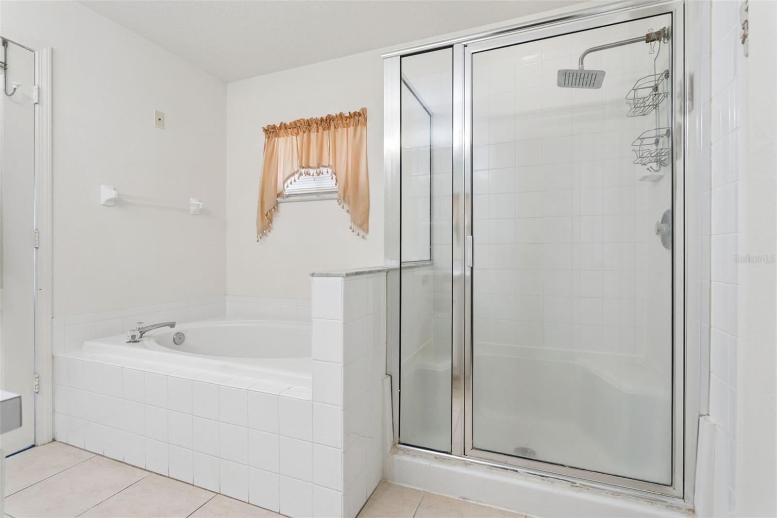 13233 EARLY RUN LANE, Riverview, FL 33578