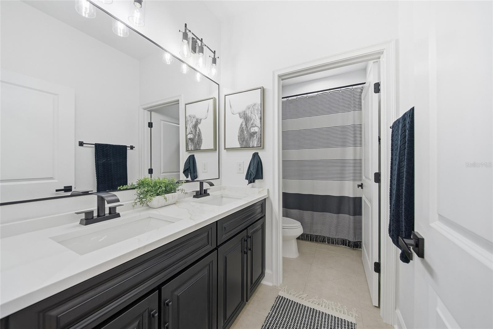 29218 PERILLI PLACE, Wesley Chapel, FL 33543