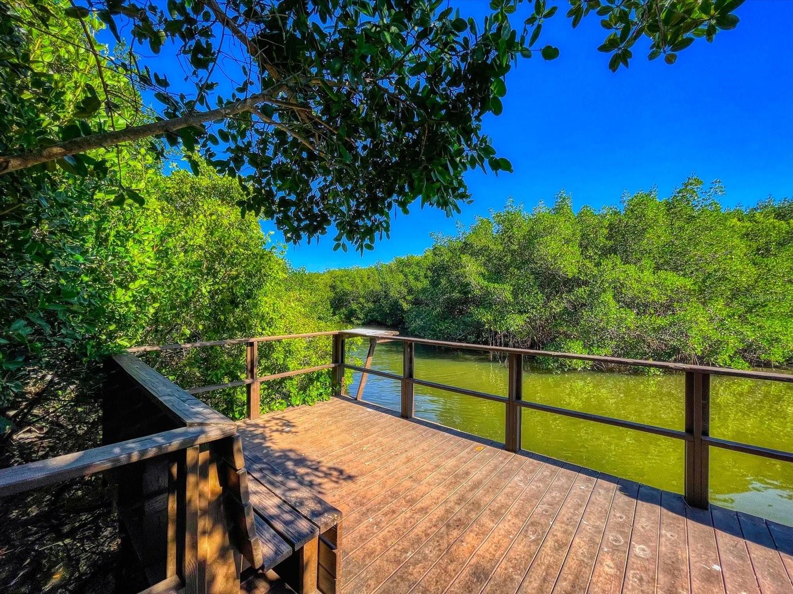 2924 LICHEN LANE, #C, Clearwater, FL 33760