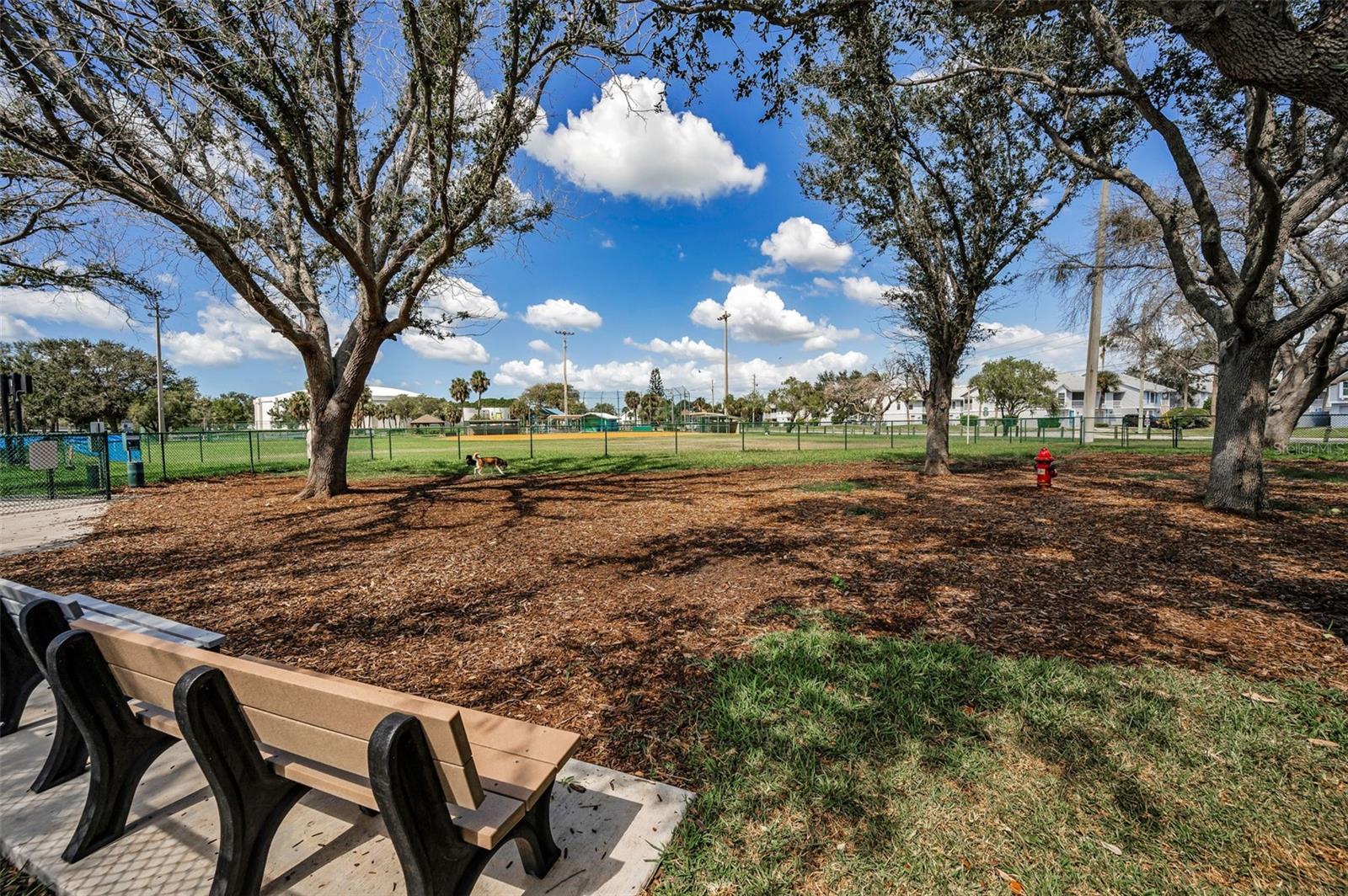 12000 CAPRI CIRCLE S, #20, Treasure Island, FL 33706