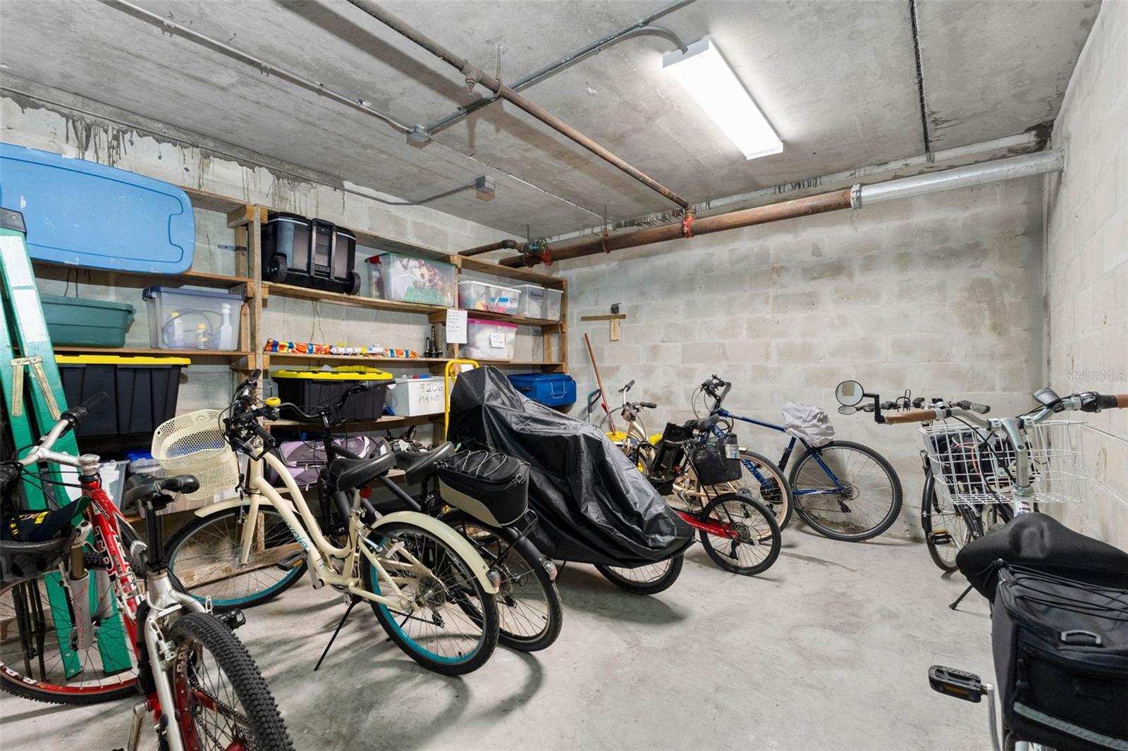 2700 BAYSHORE BOULEVARD, #9405, Dunedin, FL 34698