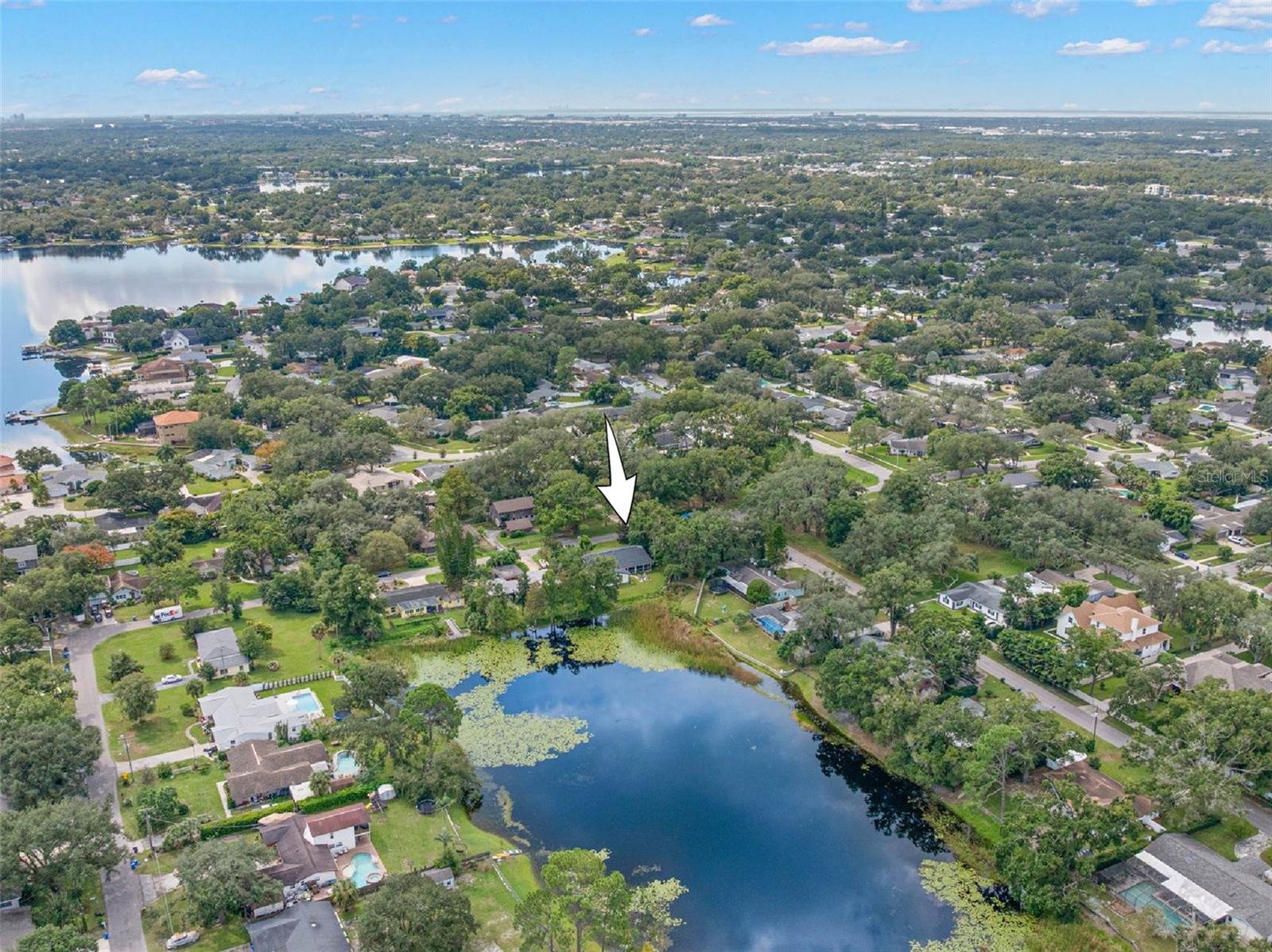 A bird's-eye perspective highlights the home's waterfront setting, with a tranquil pond bordering the backyard and mature trees throughout the surrounding Carrollwood neighborhood.